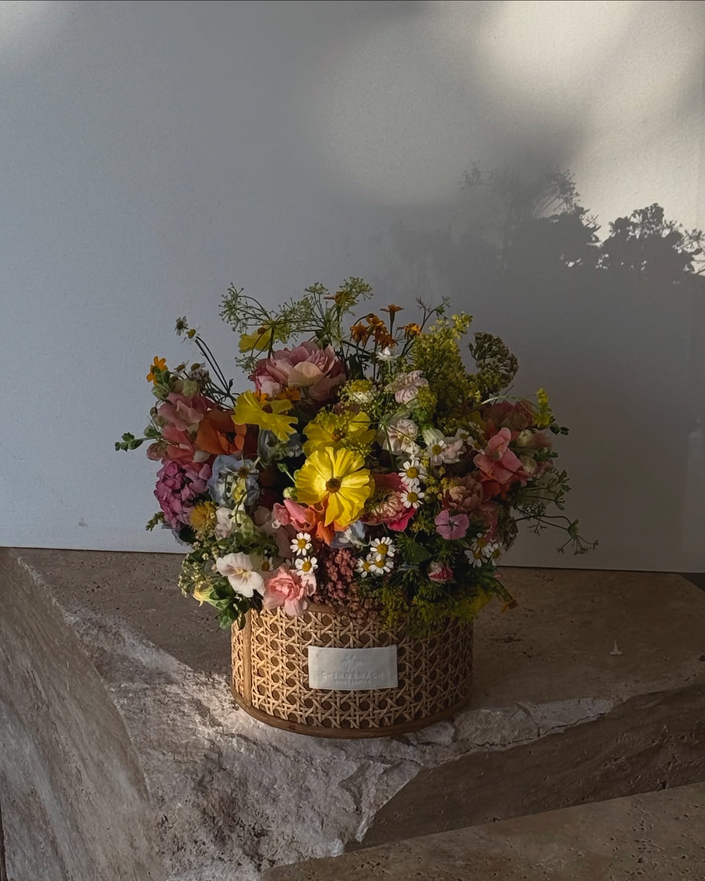 Garden of Us 我們的花園